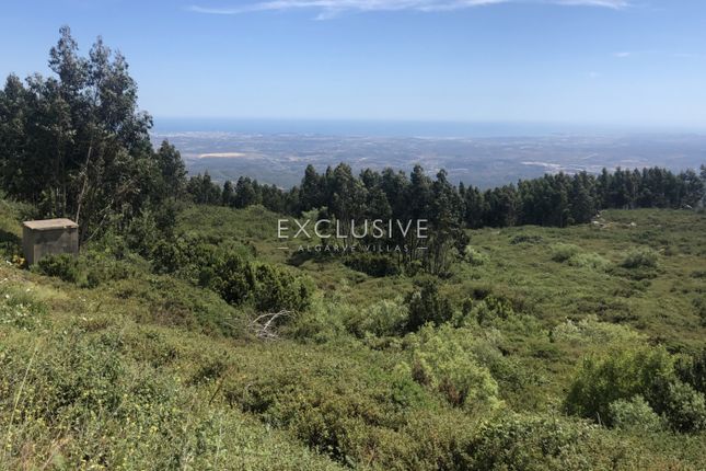 Land for sale in 8550 Monchique, Portugal