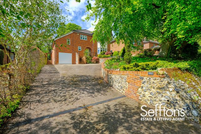 Detached house for sale in Thunder Lane, Norwich, Norfolk