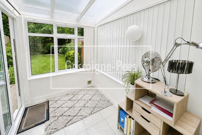 12, Guildford photo 5