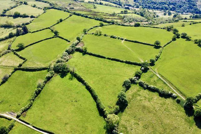 Dji_Fly_20250515_123130_834_1747343756929_Photo_Op