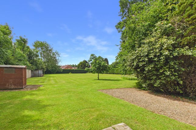 37, The Orchard, Beverley photo 4
