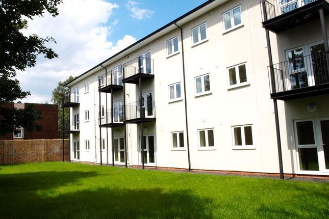 Crossley Mead Ext.Jpg