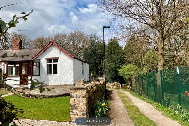 Thumbnail Bungalow to rent in Whitwell Lane, Sheffield