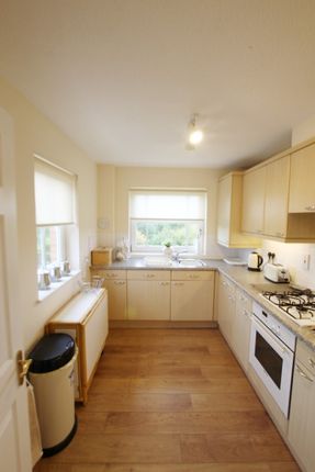 Glenhead Drive, Motherwell, ML1 2DS, Motherwell photo 5