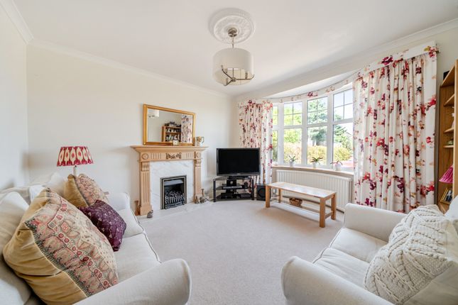 49, South Avenue, Farnham photo 4