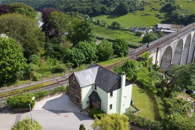 Thumbnail Detached house for sale in Lang Gardens, Calstock