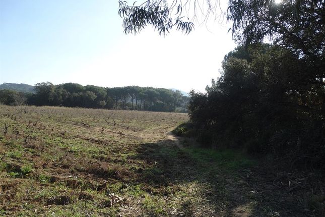Country house for sale in Tordera Blanes, Costa Brava, Spain