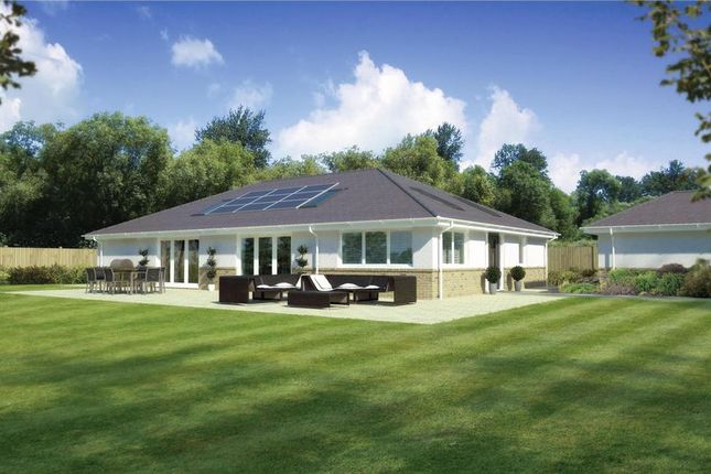 Detached bungalow for sale in Cedar Avenue, St. Leonards, Ringwood