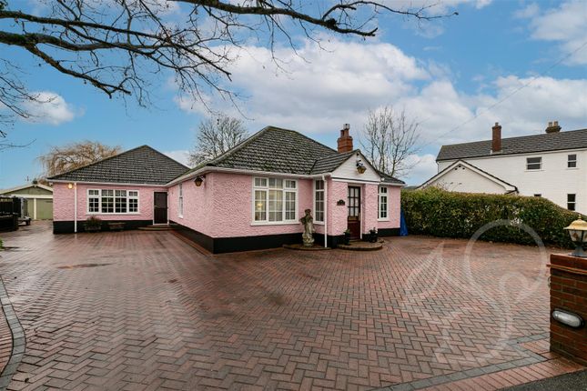 Thumbnail Detached bungalow for sale in Tollesbury Road, Tolleshunt D'arcy, Maldon