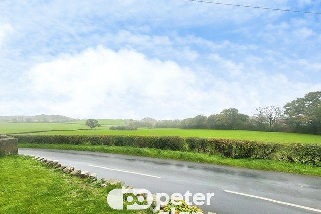 Chepstow photo 2