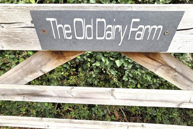 The Old Dairy Farm, Broadgate, Newark photo 2