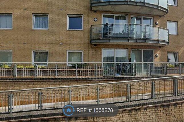 67 Berberis House