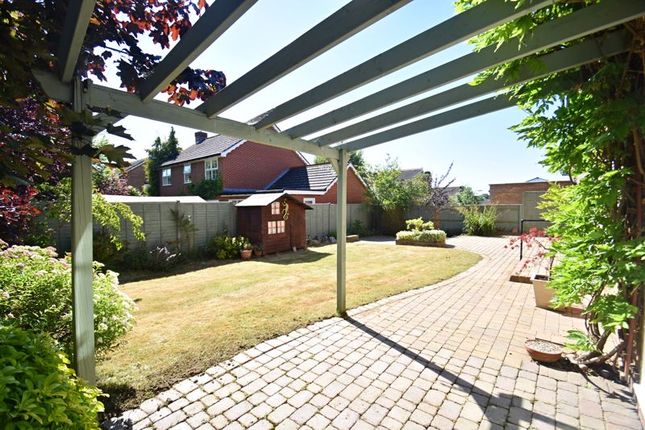 Detached house to rent in Belvedere Gardens, Chineham, Basingstoke