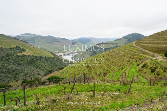 Farm for sale in São Cristovão Do Douro, 5085, Portugal