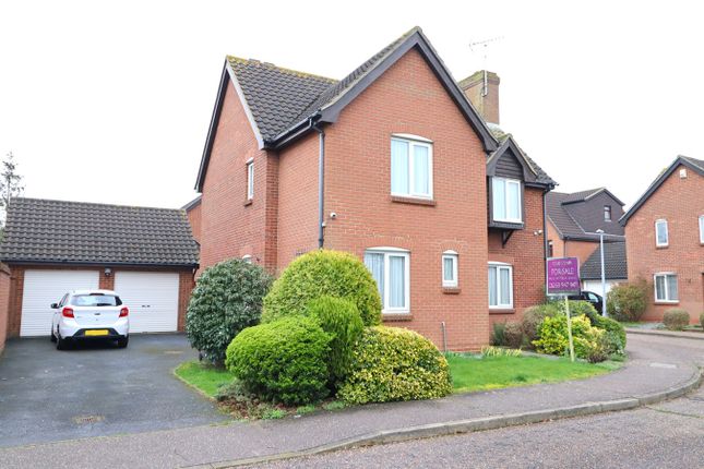 Thumbnail Detached house for sale in Bristol Close, Rayleigh
