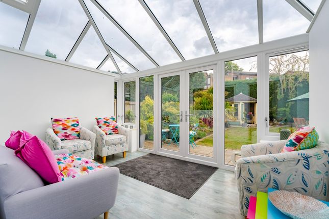 31 Primula Drive, Norwich photo 4