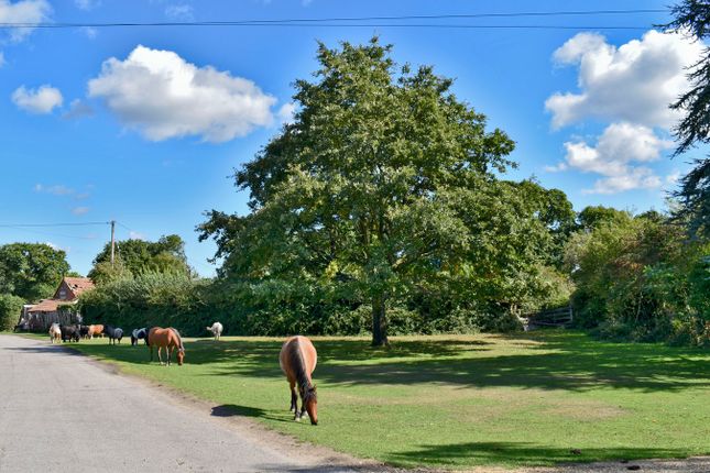 2, Pilley Green, Lymington photo 2