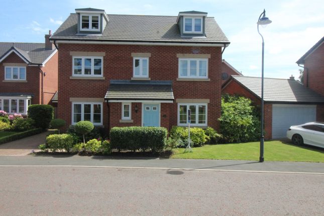 Thumbnail Detached house to rent in Bronte Walk, Backford, Chester, Cheshire