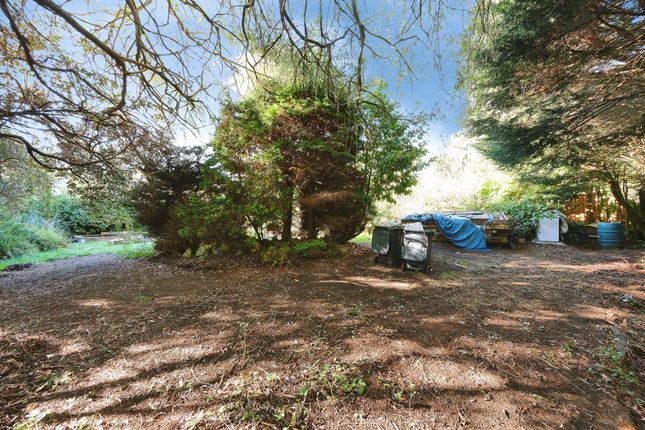 Birchfield Park, Heanor photo 3