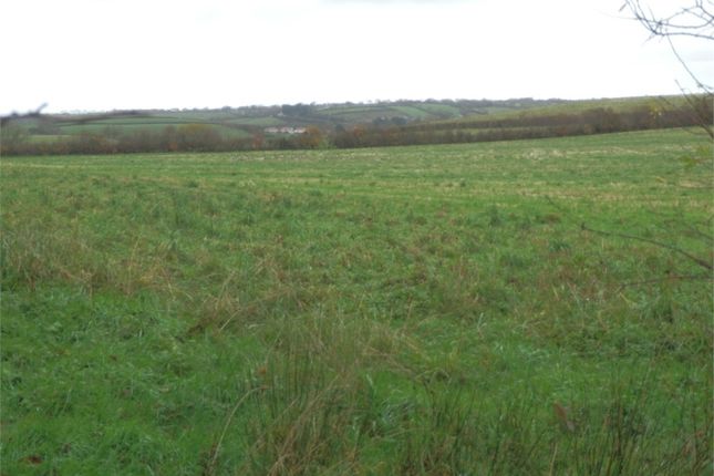 Land for sale in Bargoed Farm, Llwyncelyn, Aberaeron, Ceredigion