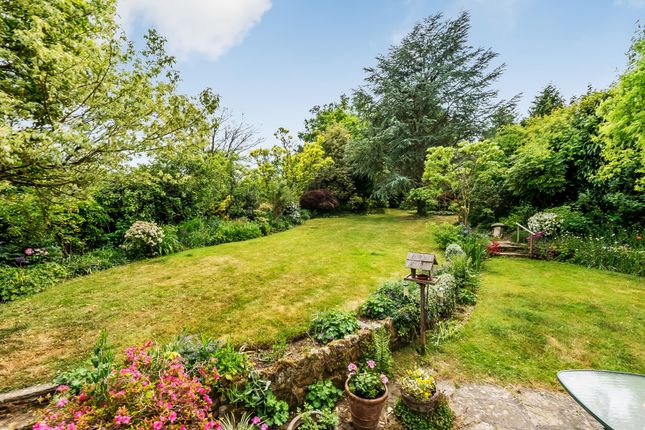 The Cottage Blackmoor,, Roodlands Lane, Edenbridge photo 3