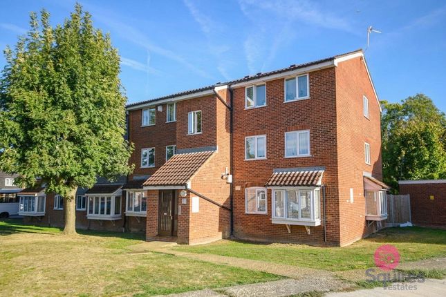 172 Poplar Grove, London photo 4