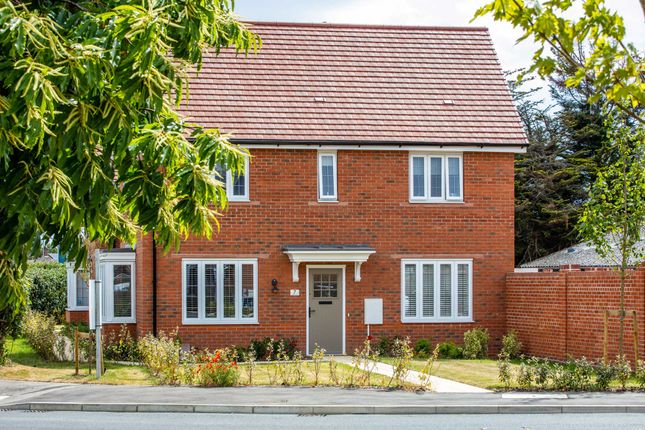Thumbnail Detached house for sale in "The Dalmon" at Gosbecks Road, Colchester