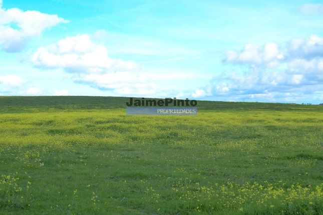 Thumbnail Land for sale in 29Ha Of Agricultural Land, Farm, Ruin And Water, Figueira De Castelo Rodrigo (Parish), Figueira De Castelo Rodrigo, Guarda, Central Portugal