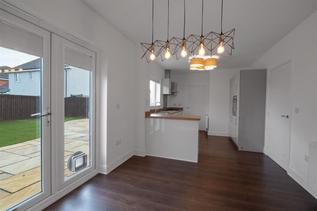 Grayling Road, Motherwell photo 5