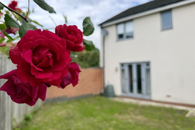 Gibb Avenue, Darlington photo 3