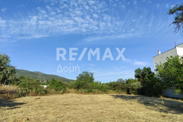 Land for sale in Karagats, Magnesia, Greece