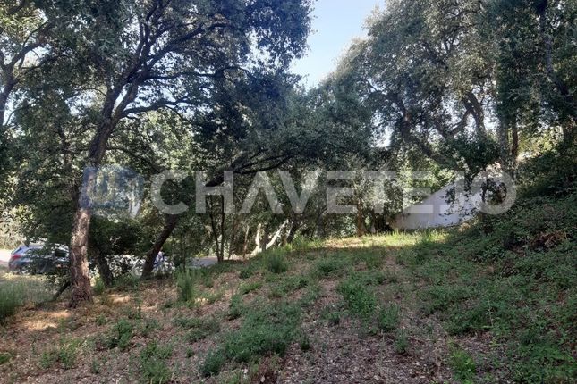 Land for sale in Vila Nova, Serra E Junceira, Tomar