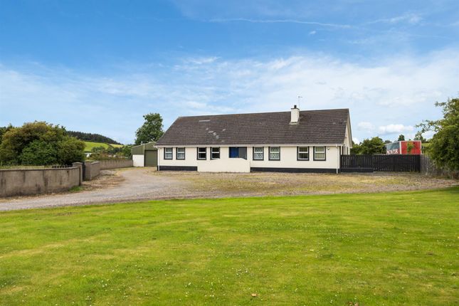 5, Seavaghan Road, Ballynahinch photo 4