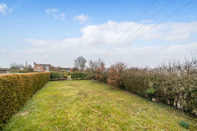 Detached house to rent in Fair Lane, Winchester