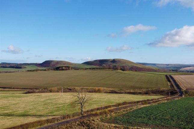 Newlands Farmhouse, Nr Minto, Hawick photo 3