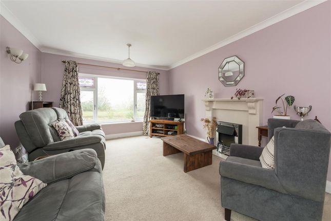 8, New House Lane, Canterbury photo 2