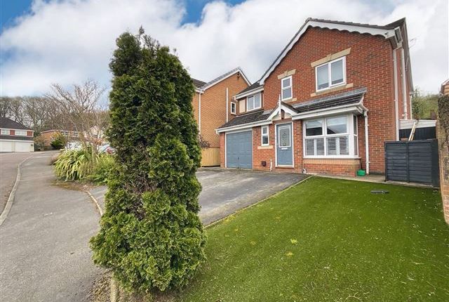 Thumbnail Detached house for sale in Leebrook Place, Owlthorpe, Sheffield