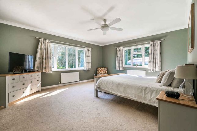 Owlswood, Cane End photo 4