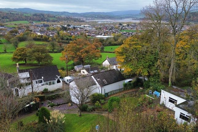 Bryn Tirion, Llandudno Junction photo 2