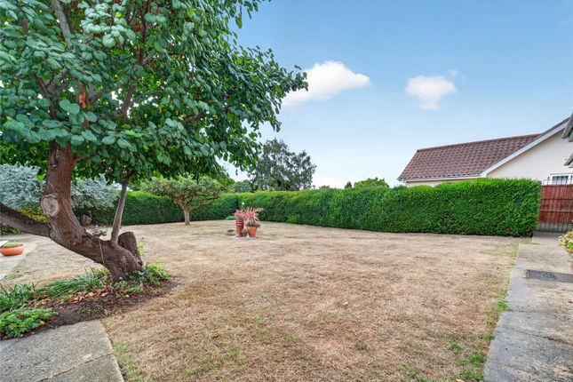 Little Orchard,, Grove Hill, Ipswich photo 4