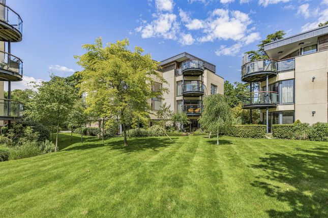 Thumbnail Flat for sale in Meridian Gardens, Newmarket