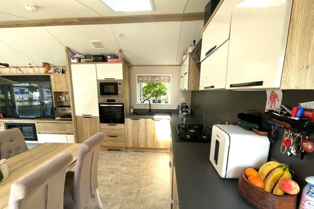Atlas Ovation 2023, Hastings photo 5