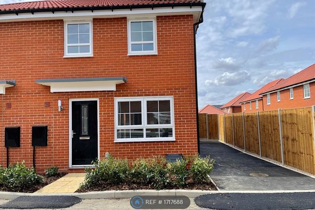 Thumbnail Terraced house to rent in Innes Place, Cringleford, Norwich