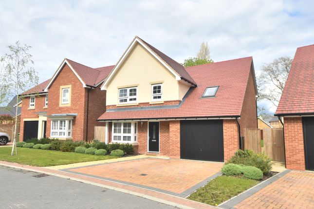 Thumbnail Detached house to rent in Wilson Way, St. Ives, Huntingdon