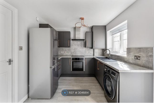 Kiloran Grove, Newton Mearns, Glasgow photo 5