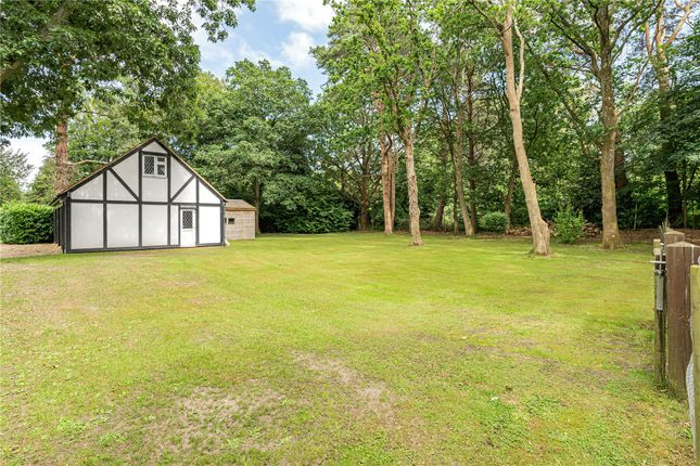 Brookley Lodge, 26, Crooksbury Road, Surrey photo 4