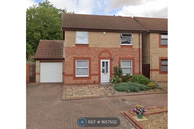 Thumbnail Detached house to rent in Hazel Croft, Werrington, Peterborough