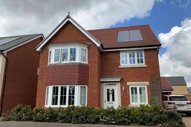 Thumbnail Detached house to rent in Ribbans Park Road, Ipswich, Suffolk