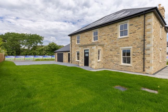 3, Butley Meadows, Morpeth photo 3