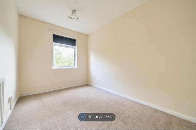 Lisle Walk, Cherry Hinton, Cambridge photo 2